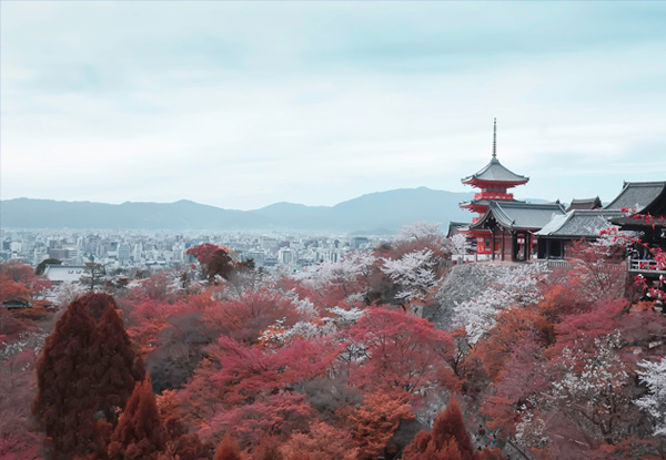 【日本旅游本州深度六日】大阪+奈良+惠那峡+富士山+东京