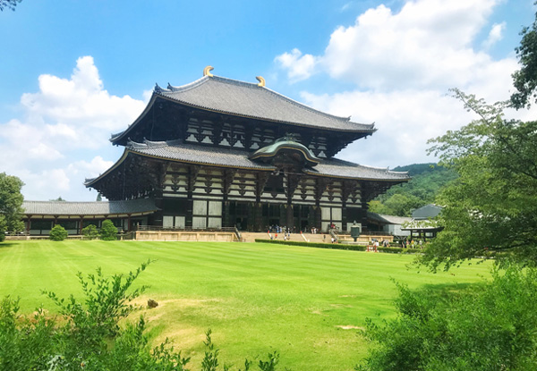 【私人定制：尊尚关西六天五晚轻奢之旅】高野山寺院+吉野山赏樱+奈良公园