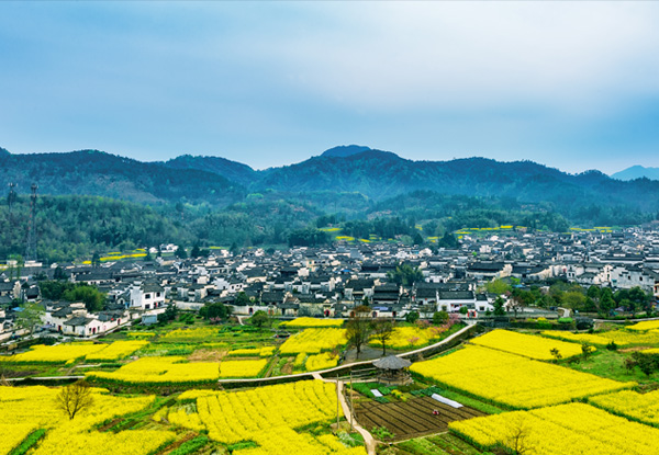 【安徽旅游双飞四天】神奇黄山+秀水千岛湖+唐模古镇+西溪南+宋代老街