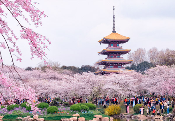 【湖北旅游六日】宜昌三峡大坝+神农架+神农溪+恩施+巴东+利川+大九湖景区