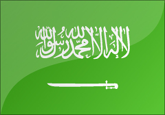 沙特阿拉伯-商务包签